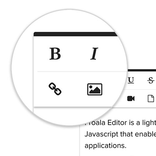 Froala WYSIWYG HTML Editor 2016 - 2017