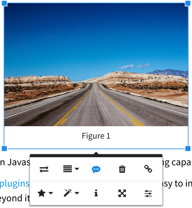 Froala WYSIWYG Editor Image Caption