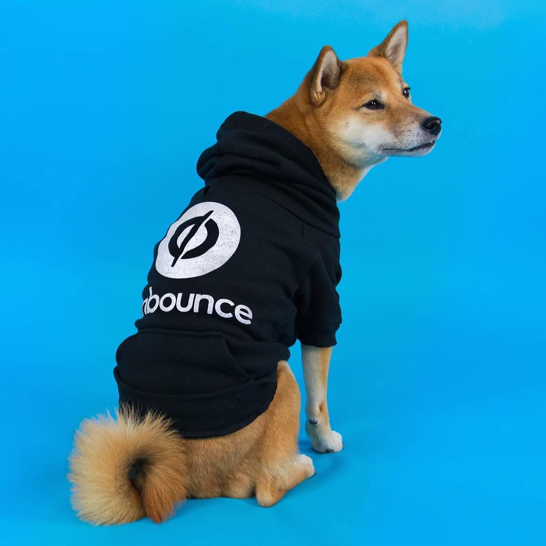 Unbounce dog