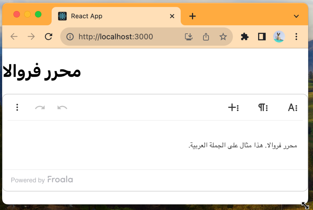 Creating React Rich Text Editor for Right-to-Left Languages