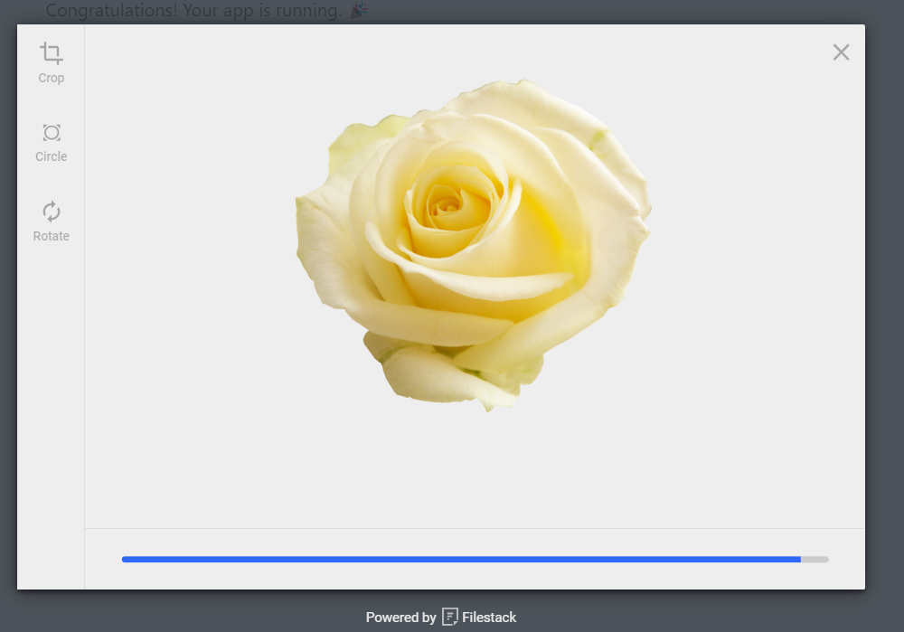 Froala Angular WYSIWYG editor integration with Filestack