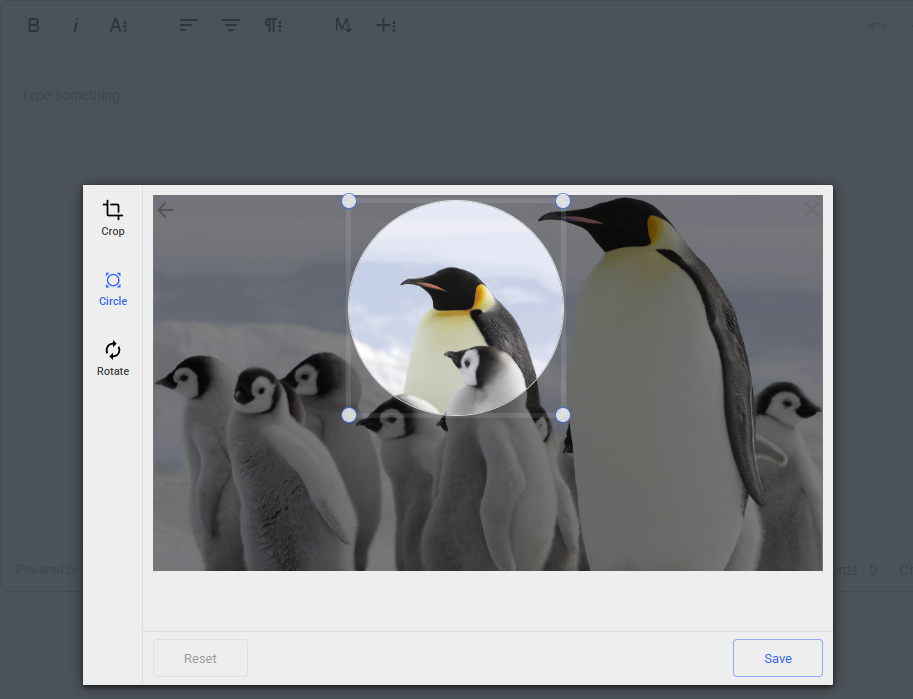 An editor with file management features. The file picker is open, and an image is uploaded. The image is being cropped, showing how modern editors allow users to modernize their content as well, even images.